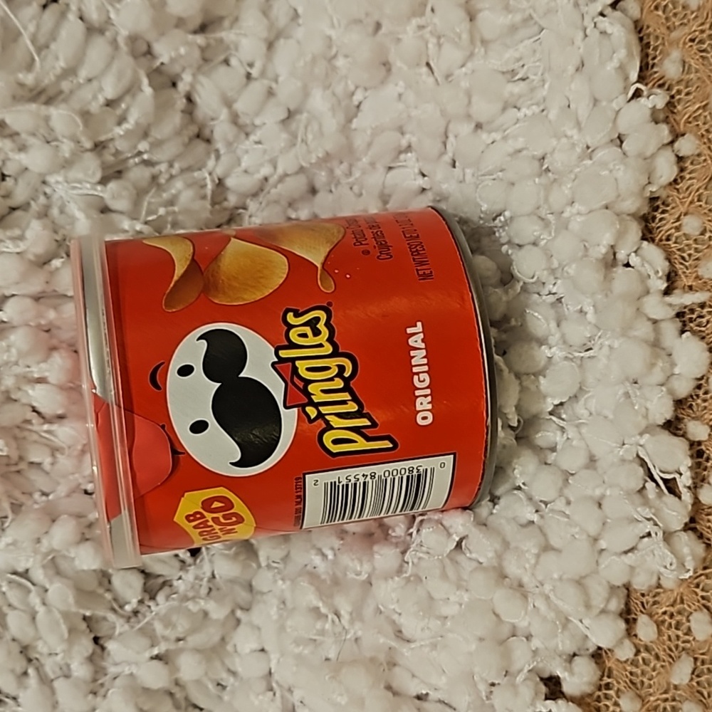 Pringles Can Safe